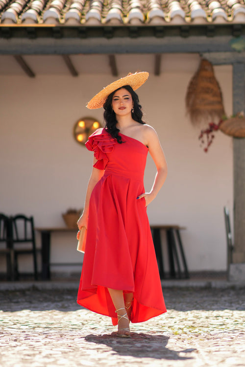 Vestido Alicia