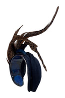 Diadema Jazmín