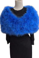 Capa de Plumas Klein
