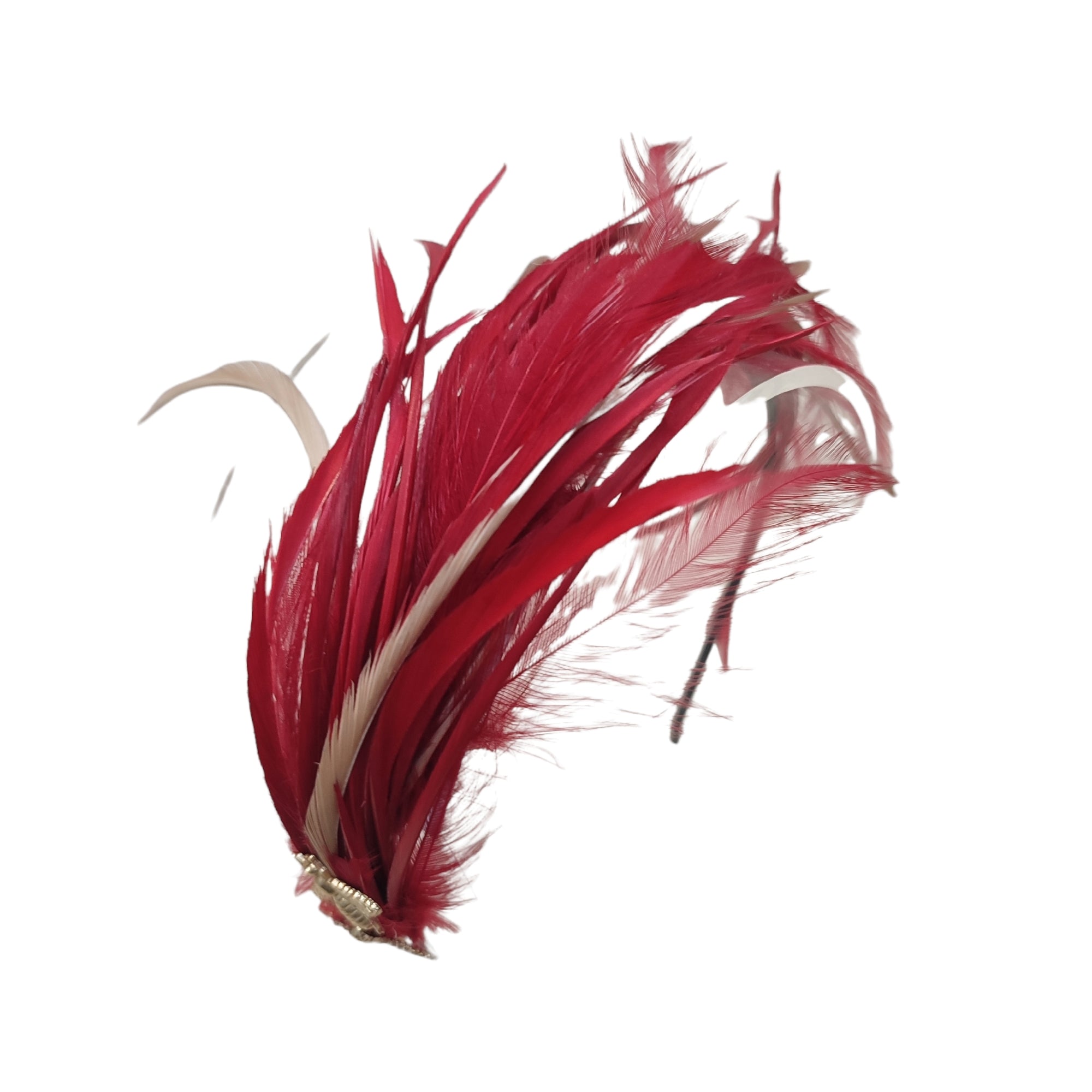Diadema Violeta Roja