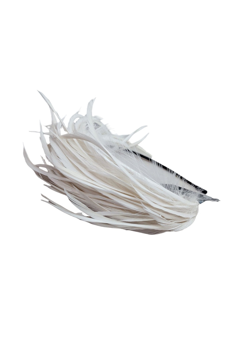 Diadema Violeta Cruda